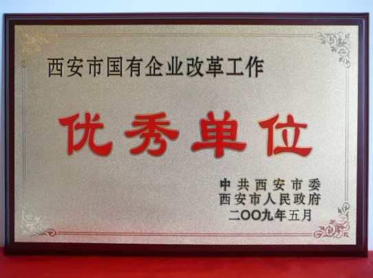 2009年5月，被西安市委、市政府評(píng)為西安市國(guó)企業(yè)改革工作優(yōu)秀單位