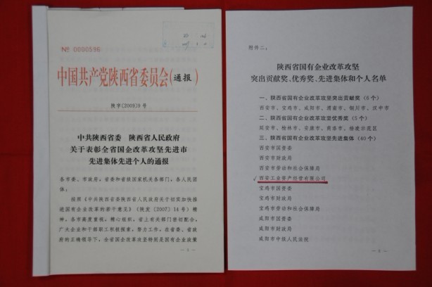 2009年2月，被陜西省委、省政府授予陜西省國(guó)有企業(yè)改革攻堅(jiān)先進(jìn)集體